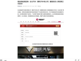 最新！哪吒汽车母公司正式启动重整意向投资人预招募