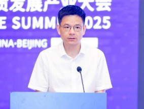 北京大学国发院王敏：中资企业出去以后最大的竞争对手是自己人，自己人杀价最厉害